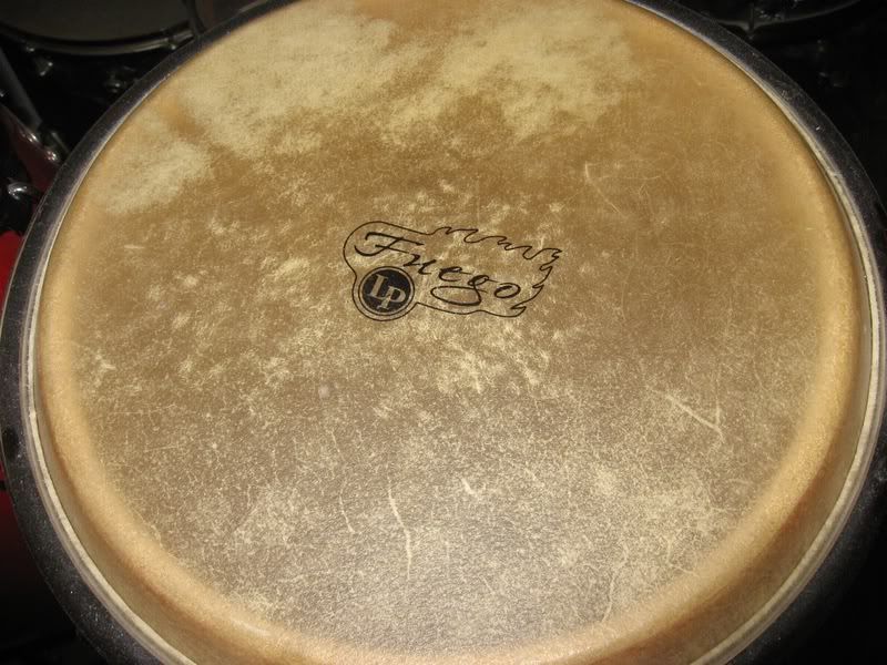 Latin Percussion Conga's model LP Fuego TRIBE MAGAZINE